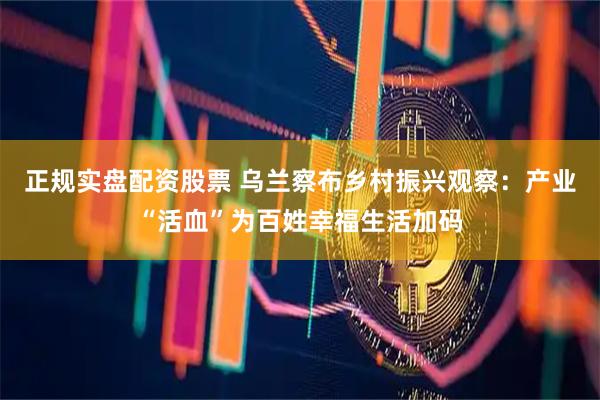 正规实盘配资股票 乌兰察布乡村振兴观察：产业“活血”为百姓幸福生活加码