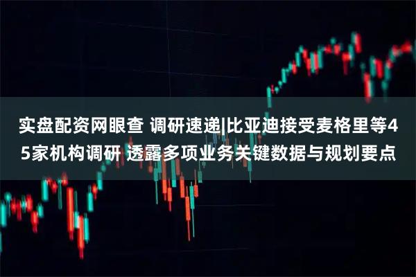 实盘配资网眼查 调研速递|比亚迪接受麦格里等45家机构调研 透露多项业务关键数据与规划要点